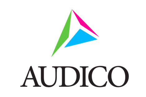 AUDICO LOGO PYSTY RGB