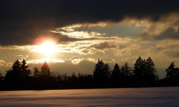 winter-sun-566565_1920